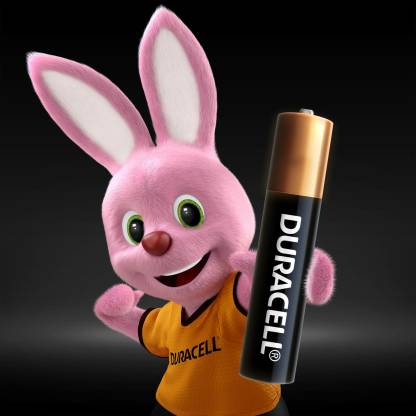 DURACELL Alkaline Specialty Type AAAA Battery  (Pack of 2)